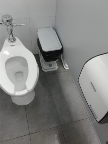 Remodelación-y-remozamiento-de-baños-INTEC-inodoro